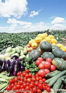 农产品质量安全系列宣传之十五 生活日用品安全使用指南