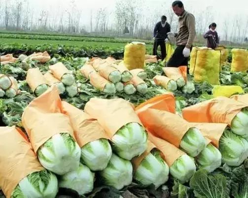 六大让自己农产品火起来的思维，你都具备吗？