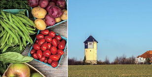 优质农产品 从田间到餐桌的卓越之旅——写在《优质农产品》杂志创刊之际