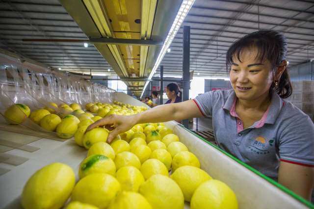 四川前6月新鲜水果出口同比增长10倍，“川字号”农产品何以乘风破浪？
