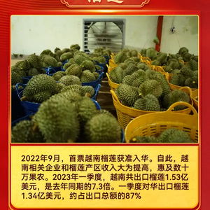 一图知世界 解码越南知名农产品与生活日用品