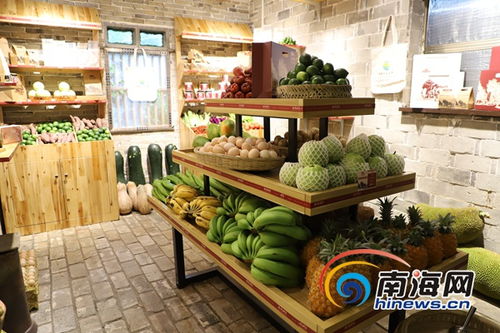 琼海发布北仍村VI品牌，农产品体验店揭牌引领生活新潮流