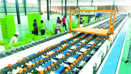 用好改革‘关键一招’ 以生活日用品产业释放发展强劲动能