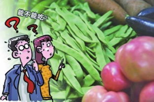 杨凌安全农产品溯源管理 保障农产品质量与消费者信任